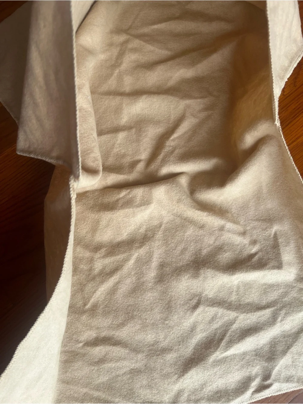 Louis Vuitton dust bag